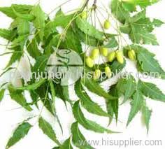 Neem Leaf Extract Manufacturer Supplier Wholesale Exporter Importer Buyer Trader Retailer in Chhindwara Madhya Pradesh India